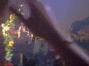 Panic at the disco HCT May 30th St. Louis Missouri PART 3