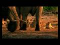 Earth - la nostra terra: trailer in italiano e fotogallery