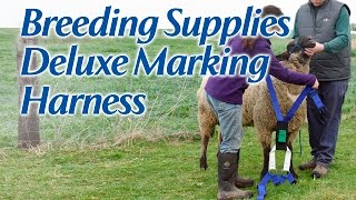 Deluxe Marking Harness