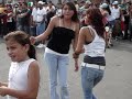 Festival y la gata fina