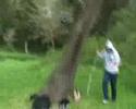 parodia del video black metal arckanum - gava fran trulen da parte di ragazzi italiani.