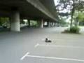 videos de ErsteFahrstunde:-)