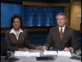Cat Fight! Reporter Babe Mauled by Cute Kitty