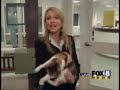 かわいい猫動画