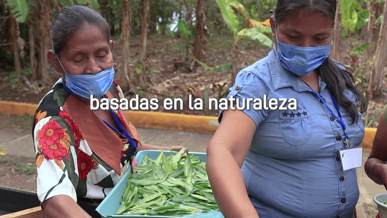 Mujeres emprendedoras forestales
