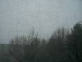 New England Weather