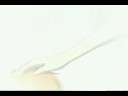 fruits basket-evanescence- where will you go
