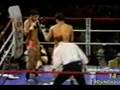 Clips From The Best