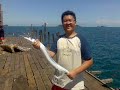 Sibu Ah Yew Kelong