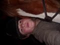 videos de tyler&diesel perfect match