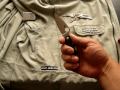 C113CFPE Caly 3, Carbon Fiber Handle ZDP-189 Steel, Plain