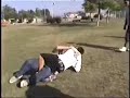 Crazy Fights !