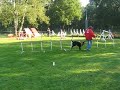 Vanessa et Zinga au Rccdish JUMPING