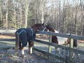 Parker squeels at his new buddy!