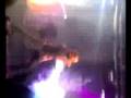 videos de i finley a l'aquilaa!
