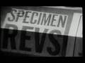 BOMB IT- Fuckin Revs