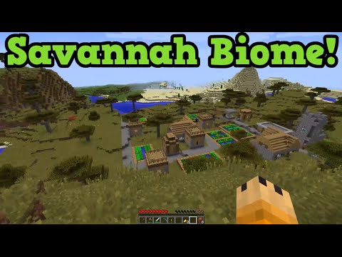 Minecraft Xbox 360 + PS3 TU23 New Biome Savannah + Acacia tree