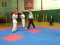 Ucd taekwondo 2008 leinsters