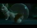 videos de Bolt