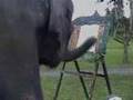 Elephant Art