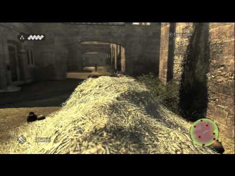 Assassin's Creed : Brotherhood