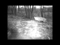 Bushnell Copse Footage _20th Feb 2011.m4v