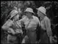 - MovieZen Video