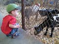 Drew at the Fair