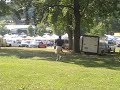 Footabll in the Park