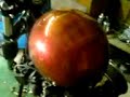 HARLEY SPORTSTER REBUILD PT 1 HARLEY SPORTSTER REBUILD PT 1