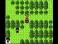 this is another 8-bit remix, this time it's the theme that plays on route 205 and some other places, i like it a lot. however,i was not too happy with the final result,in my opinion it's not 