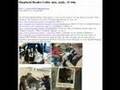 Pet Rescue, Craigslist (Mar - Apr 2008)