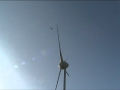 Bird Fail