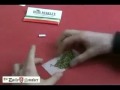 Daily Smoker - How to Roll a Joint