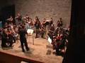 Tarantella