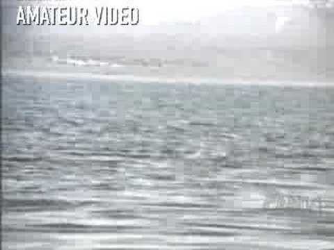 Turkey Lake - Alledged Lake Van Monster Sighting... Truth Or Hoax?! You Decide!
