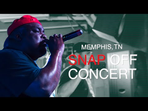 how to apply for snap in tn