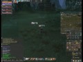 PvP Sephi L2