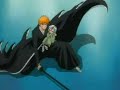Bleach AMV - Ichigo Vs Privaron Espada Dordonii