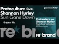 Protoculture ft. Shannon Hurley – Sun Gone Down Lyrics