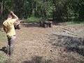Mudpimps and the mudshower again