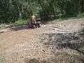 Mudpimps and the mudshower again