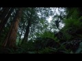 Récapitulatif (Saison 2)