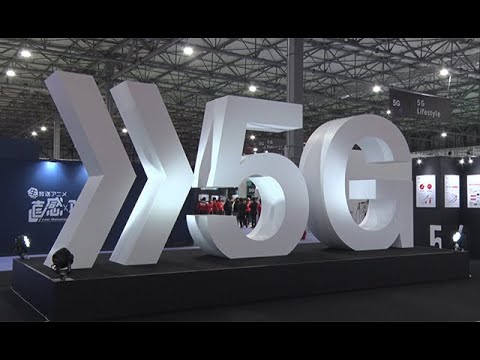 動画