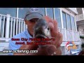 OC Fishing Center - "The Daily Catch 5" September 2011