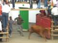 encierro en LANTEIRA