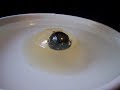 Clear Socket Pluck with Showdow Clear Socket Pluck with Showdow