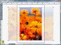 QuarkXPress 8 - Easter egg ???????? QuarkXPress 8 - Easter egg ????????