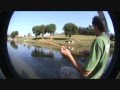 videos de Jean Pesca 1 peixes pequenos.wmv