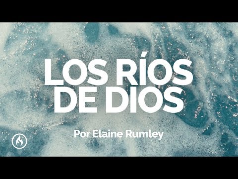 Ver video
